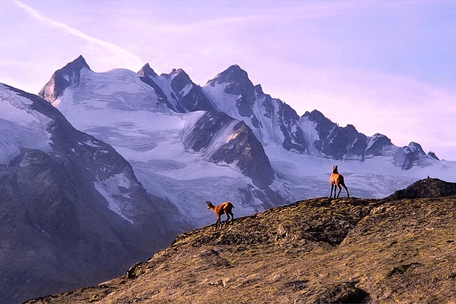 Ile wody na trekking? Ile wody na trekking?