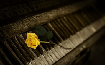 Jaki organ budzi o 3 rano? Jaki organ budzi o 3 rano?