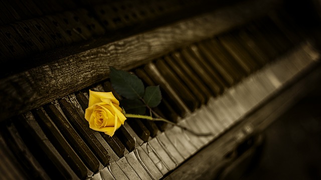 Jaki organ budzi o 3 rano? Jaki organ budzi o 3 rano?