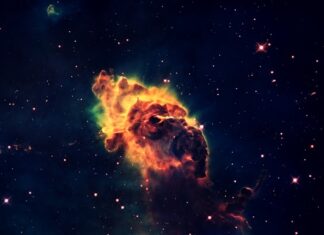 Czemu gazy po owocach?