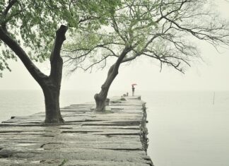 Ile za metr ułożenia krawężnika?