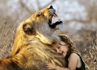 Jaka jest najlepsza wentylacja w domu?