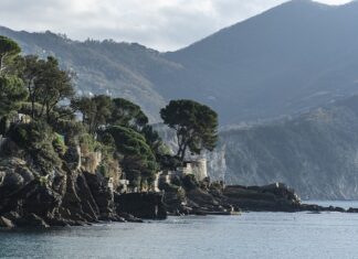 Ile kosztuje położenie 100m kostki brukowej?